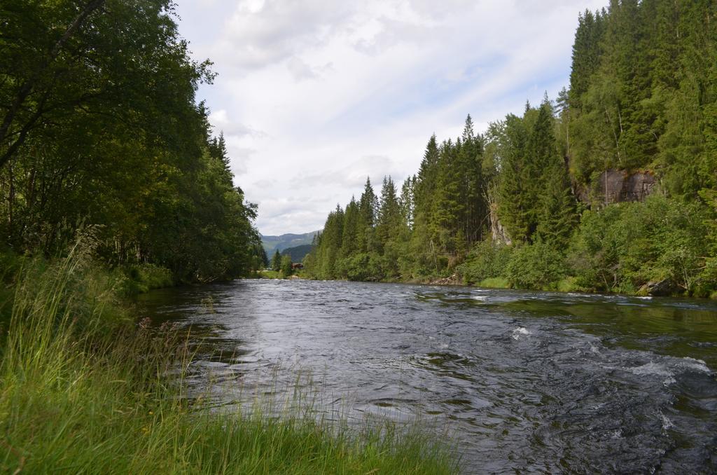 Doskelandslia Camping Sygna Экстерьер фото